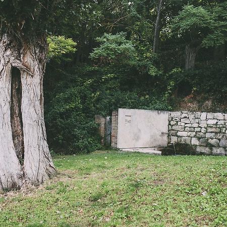 Fuente Acena Hotel Boutique Quintanilla de Onésimo エクステリア 写真