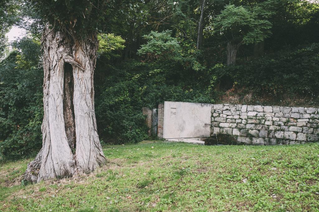Fuente Acena Hotel Boutique Quintanilla de Onésimo エクステリア 写真
