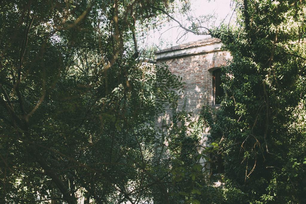 Fuente Acena Hotel Boutique Quintanilla de Onésimo エクステリア 写真
